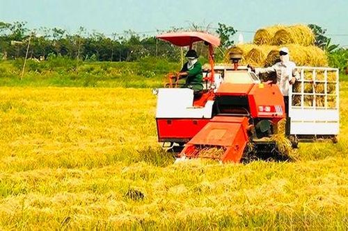 Ninh Bình đặt nền móng cho ngành thủy sản xanh – hiện đại – hội nhập