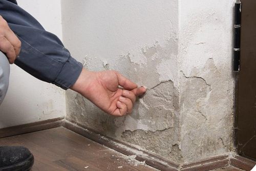 Cách xử lý tường bị ẩm mốc, bong tróc
