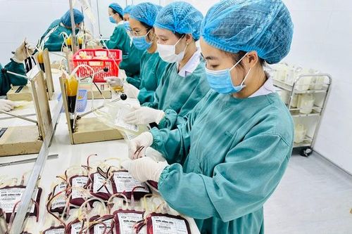 Thiếu máu, chế phẩm máu ngày càng trầm trọng ở Nghệ An