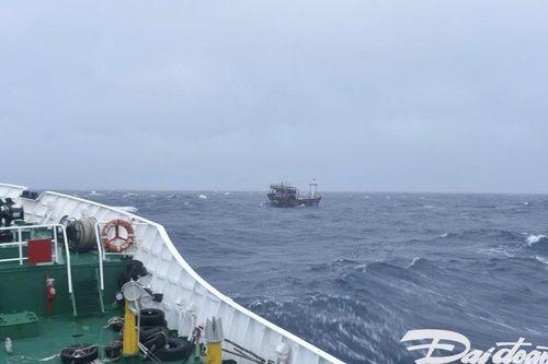 Bộ Tư lệnh Vùng Cảnh sát biển 2 ứng cứu 3 tàu cá gặp nạn trên biển