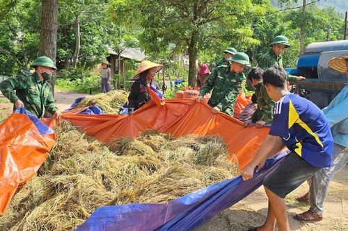 Quảng Bình: Giúp đồng bào dân tộc thiểu số thu hoạch lúa chạy mưa bão số 1