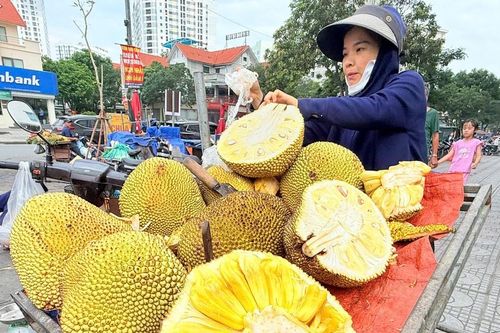Doanh nghiệp và nông dân cùng khó khăn vì trái cây rớt giá