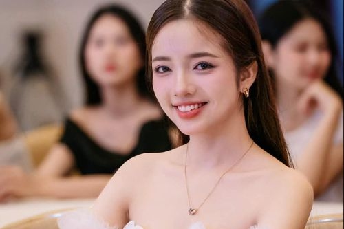 Thí sinh Hoa hậu Việt Nam xin lỗi
