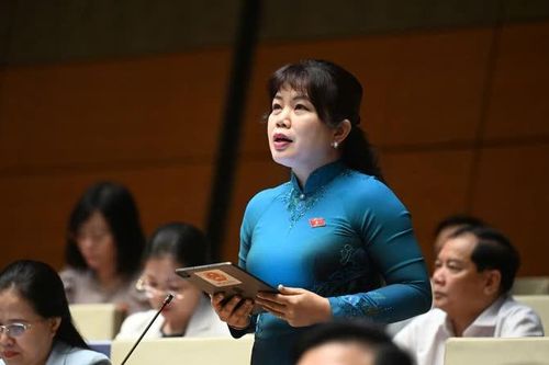 Đại biểu Quốc hội: sớm có phương án xử lý trụ sở dôi dư sau sắp xếp các tỉnh, thành