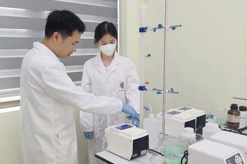 Công nghệ tiên tiến thu hồi phân bón Struvite chất lượng cao từ nước thải chăn nuôi lợn