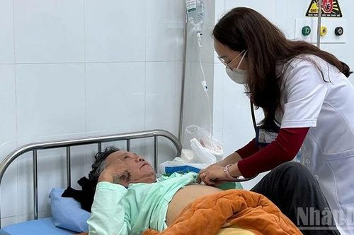 Lâm Đồng: Liên tiếp ca ngộ độc nấm rừng, chuyên gia khuyến cáo không tự nếm thử các loại nấm chưa được kiểm chứng