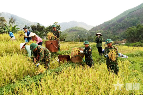 'Cột mốc niềm tin' nơi thượng nguồn sông Mã-Bài 3: Những mùa no ấm trên biên cương (Tiếp theo và hết)
