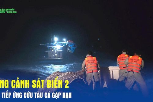 Vùng Cảnh sát biển 2 liên tiếp ứng cứu tàu cá gặp nạn