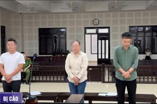 Tiếp tay cho tội phạm truy nã quốc tế cư trú trái phép tại Đà Nẵng