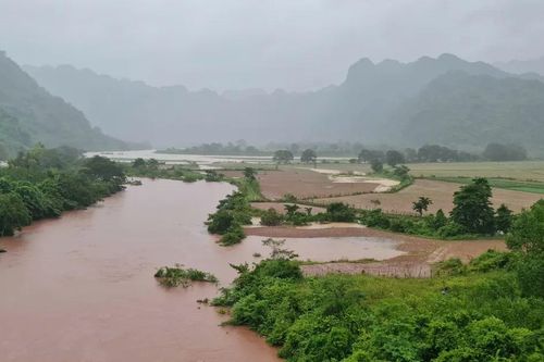 Hai tàu cá bị chìm khi tránh bão số 1, 8 ngư dân may mắn thoát nạn