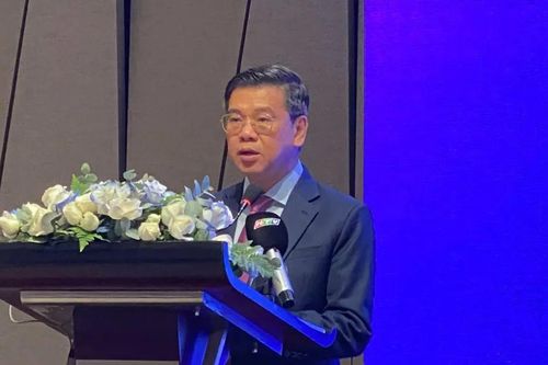 TPHCM thúc đẩy hợp tác với vùng Vịnh lớn Quảng Đông - Hồng Kông - Ma Cao