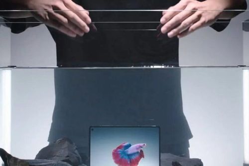 Vivo X Fold 5 điện thoại gập đầu tiên được gắn nhãn siêu bền