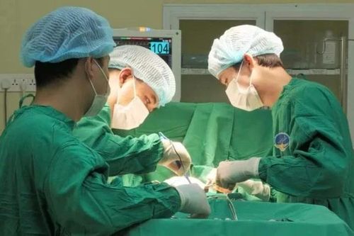 Vú lở loét, di căn vì dùng ong đốt chữa ung thư