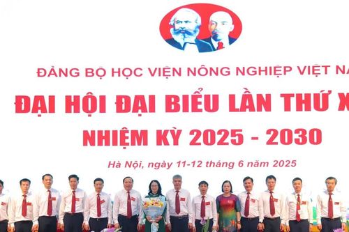 GS.TS Nguyễn Thị Lan được bầu là Bí thư Đảng ủy Học viện Nông nghiệp Việt Nam