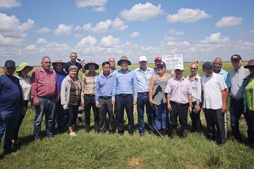 Việt Nam-Cuba phát triển sản xuất lúa gạo: Bốn giống đạt tiêu chuẩn và được đặt tên là ViBa