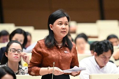 Đại biểu Quốc hội: Không để 'lạm phát văn bản' trong thời gian sắp tới