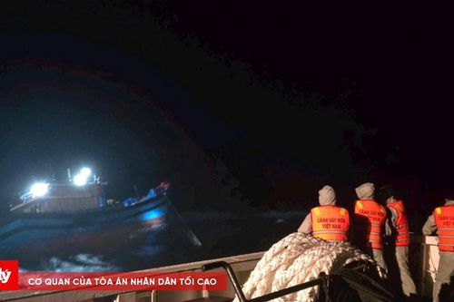 Cảnh sát biển Vùng 2 ứng cứu kịp thời ba tàu cá gặp nạn trong bão số 1