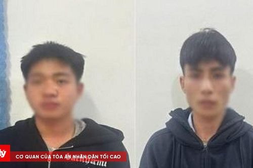 Bắt nhóm đối tượng chuyên đột nhập khu nghỉ dưỡng cao cấp