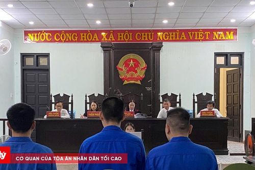 Thuê xe mang đi cầm cố lấy tiền đánh bạc
