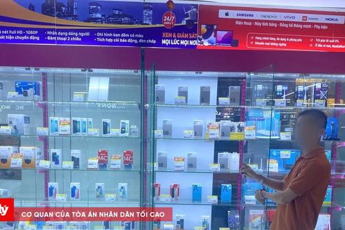 Bắt giữ đối tượng trộm cắp tại siêu thị sau 48 giờ gây án