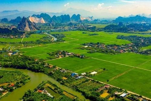 Hải Phòng tạm dừng tiếp nhận và giải quyết hồ sơ chuyển đất ở đối với hộ gia đình, cá nhân