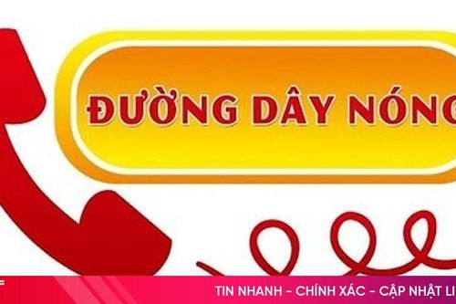 Chi cục Quản lý thị trường Hà Tĩnh công bố 'đường dây nóng'
