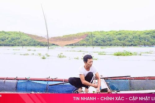 Khẩn trương gia cố lồng bè, ao nuôi trước dự báo mưa lớn
