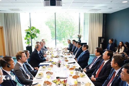 'Mong doanh nghiệp Thụy Điển mở rộng đầu tư vào hạ tầng công nghệ thông tin của Việt Nam'