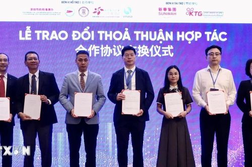 Thúc đẩy hợp tác chiến lược TP Hồ Chí Minh và Vùng Vịnh lớn Trung Quốc