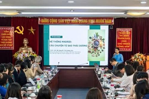 CEO Sao Thái Dương: Thương hiệu Việt tự tin bước ra thế giới nhờ bảo hộ nhãn hiệu Madrid