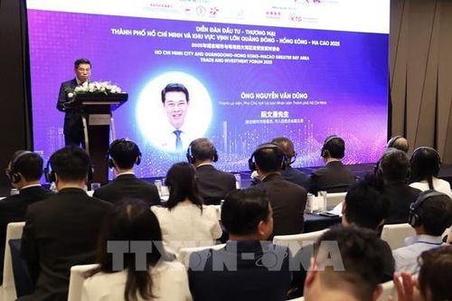 Thúc đẩy hợp tác chiến lược TP. Hồ Chí Minh và Vùng Vịnh lớn Trung Quốc