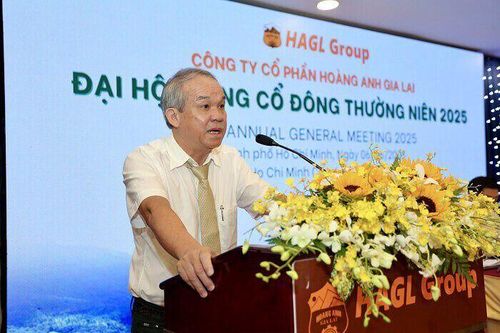 Sau đại hội cổ đông, bầu Đức dự chi hơn trăm tỷ đồng mua cổ phiếu HAG