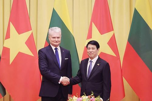 Chủ tịch nước Lương Cường hội đàm với Tổng thống Litva