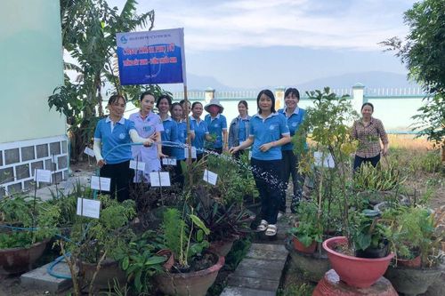 Thiết thực mô hình vườn cây thuốc nam