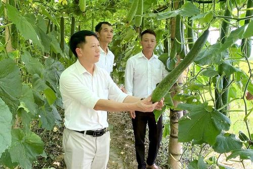 Nỗ lực xây dựng quê hương Bình Lư phát triển giàu đẹp