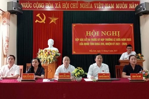 Đại biểu HĐND tỉnh tiếp xúc cử tri chuyên đề vùng biên giới