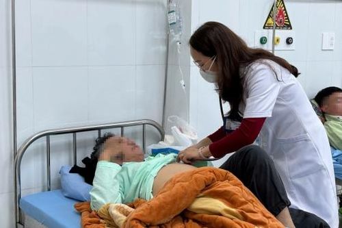 Nhiều người nhập viện cấp cứu sau khi ăn nấm hái trong rừng thông