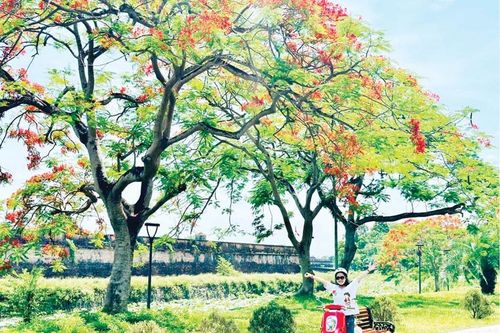 Bốn mùa sắc hương