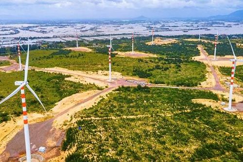 Bình Định tìm nhà đầu tư cho dự án Nhà máy điện gió gần 6.000 tỷ đồng
