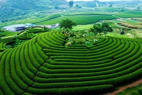 Xây dựng khu du lịch quốc gia Mộc Châu thành động lực phát triển du lịch