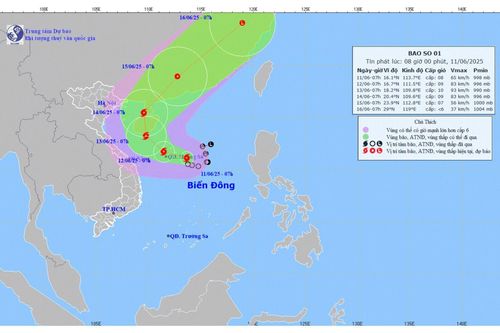 Hải Phòng lên phương án chủ động phòng chống bão Wutip