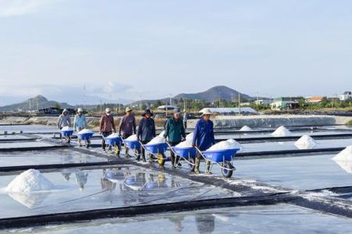 Sắp có thay đổi mới về cách đặt tên hộ kinh doanh?