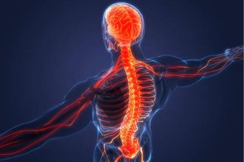 Khoa học thần kinh và cuộc cách mạng điều trị ung thư