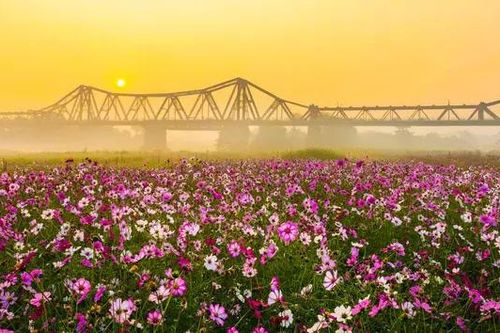 Khai thác tiềm năng của quỹ đất nông nghiệp tại bãi sông