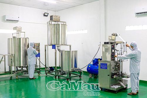 Tận dụng thế mạnh phát triển công nghiệp nông thôn
