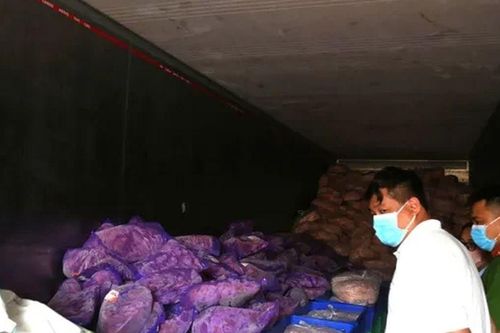 Bí mật 'khủng' trong kho đông lạnh ở Bình Dương