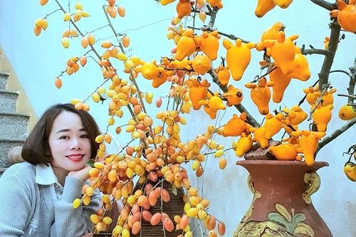 Mê mẩn những cành quả cắm bình độc đáo của cô giáo Phú Thọ