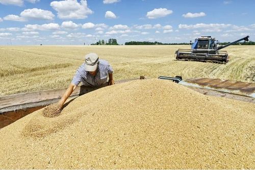 EU chấm dứt ưu đãi thuế: Thúc đẩy Ukraine mở rộng thị trường xuất khẩu