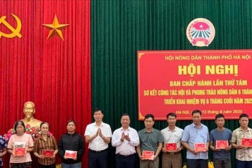 243 hội viên nông dân có hoàn cảnh khó khăn được tặng sổ BHXH và thẻ BHYT