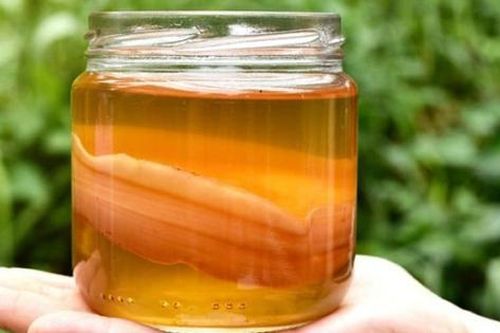 Thời điểm nào tốt nhất uống kombucha?